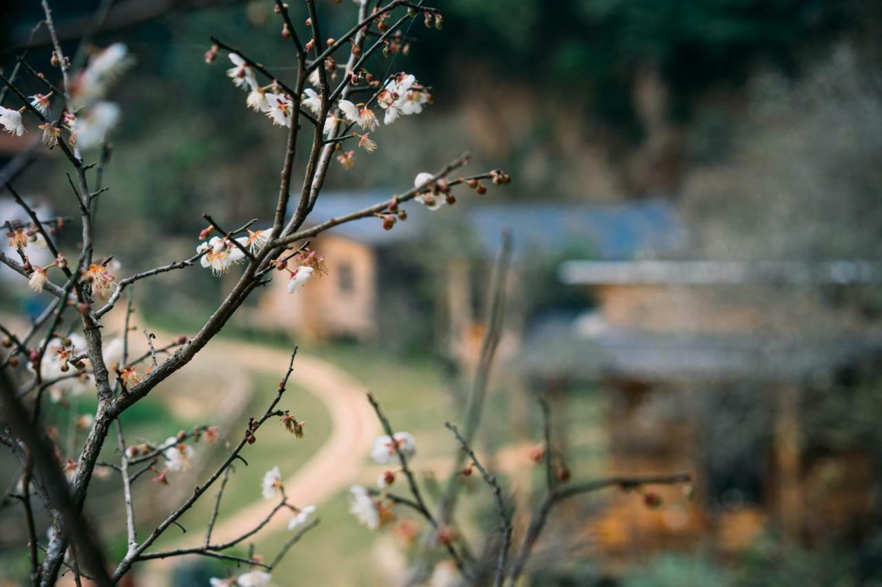 House By Lake Hotel Moc Chau Exterior foto